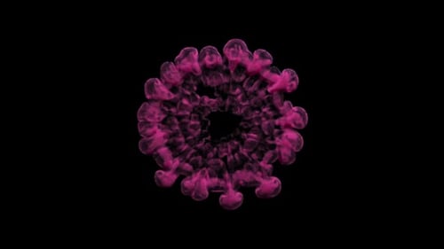 Pink Fluid Smoke Burst Reveal Transition