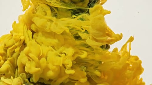Yellow and Black Ink Swirling in Water