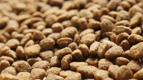 Shallow DOF pile of cat or dog pellet meal 4K 2160p 30fps UltraHD tilting footage - Brown pet dry f