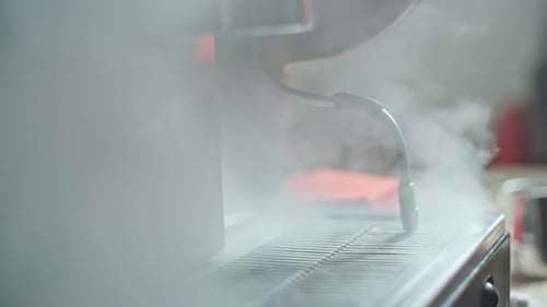 Baguette vapeur de nettoyage Barista