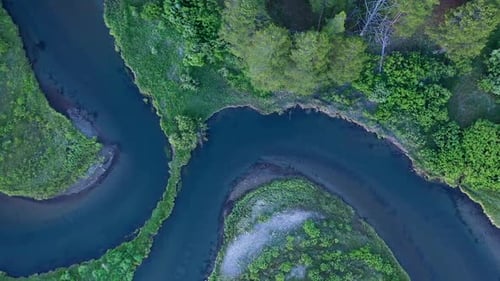 Vista de arriba hacia abajo del río serpenteando por la pradera