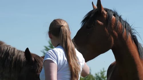 Blonde Woman Strokes Chestnut Horse with White Mark on Farm