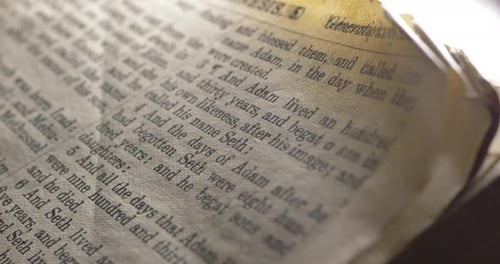 Heilige Bibel