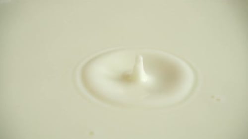 A drop of milk falls into the milky surface. Slow motion.
