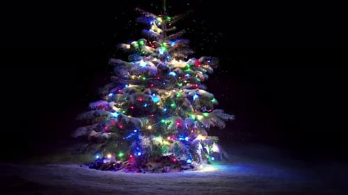 Snowy Christmas Tree with Lights at Night