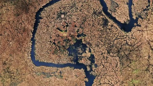 River between brown swamps, aerial view