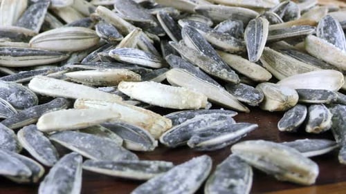 Pile of Black and White Sunflower Seeds Close-Up