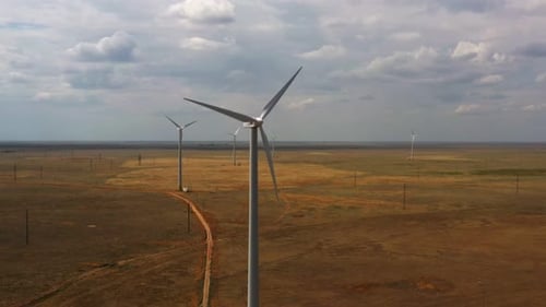 wind turbines in the field