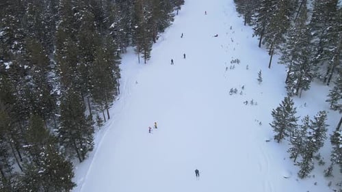 winter ski forest