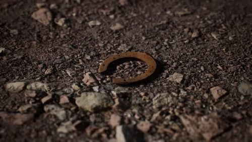 Счастливый амулет в дорогу домой: 7 мощных талисманов, которые работают