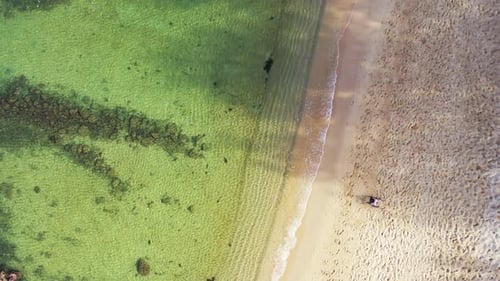 Aerial landscape of tropical seashore beach adventure by blue ocean with white sand background of ad