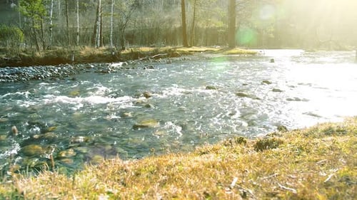 Dolly Slider Aufnahme des Spritzwassers in einem Gebirgsfluss in der Nähe von Wald