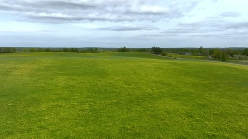 Aerial View of the Yellow Flowers Field Under Blue Cloudy Sky