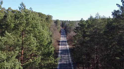 Estrada aérea rural na floresta à noite no crepúsculo