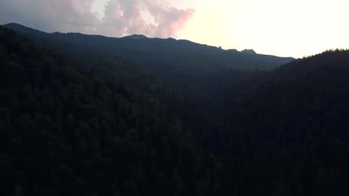 Above Forest In Mountains, Aerial View