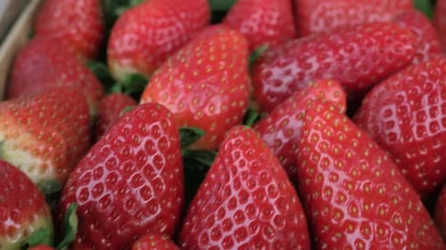 Tasty Strawberries in Box