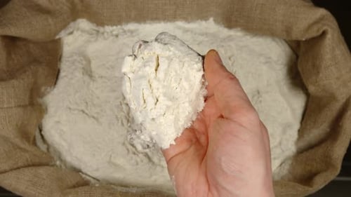 Hand Scooping Flour from a Burlap Sack