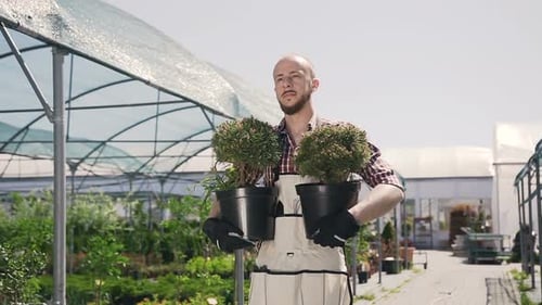 Man Carrying Plants in Outdoor Nursery on Sunny Day