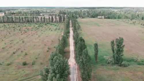 Cobblestone gravel road in countryside with fields and meadow.