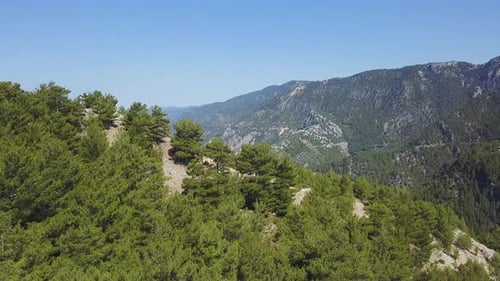 Green mountain range completely covered with trees and vegetation