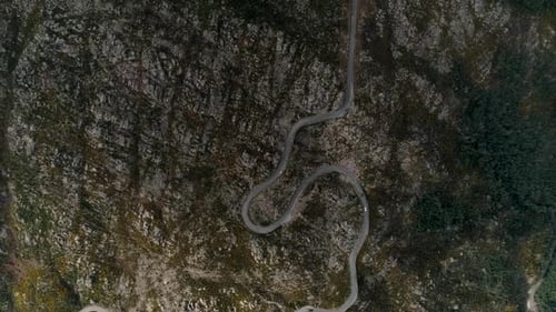 Forest Road