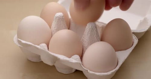 Chicken Egg in Paper Package