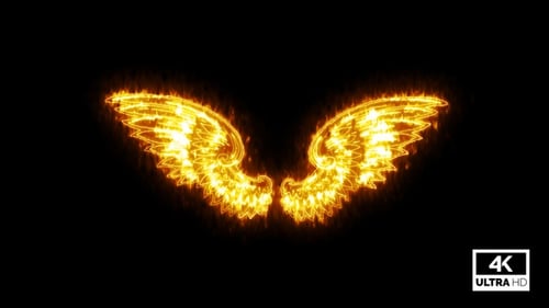 Brennende Flügel isoliert auf schwarzem Hintergrund V4