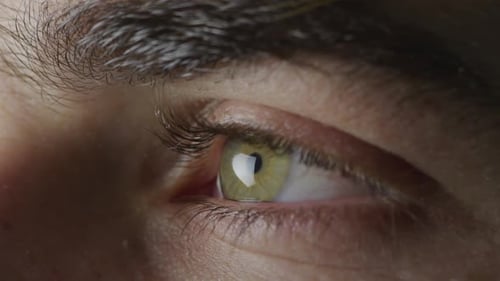 Blinking green eye