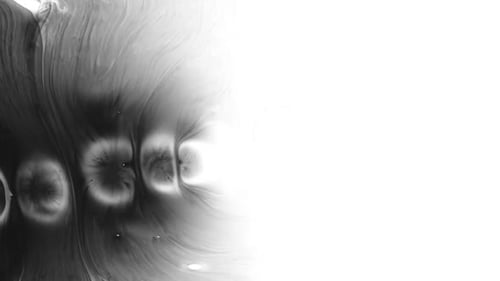 Abstract Black Ink Bloom on White Background