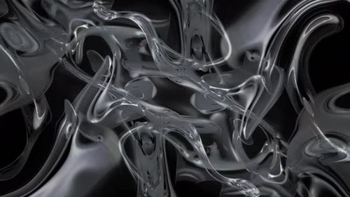 Dynamic Fluid Black and White Abstract Organic Motion