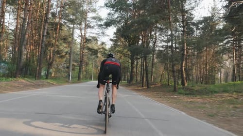 Man Rides Bicycle Down Forest Road