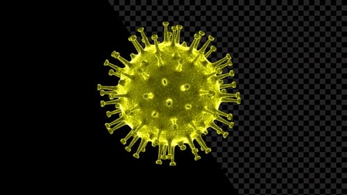 Coronavirus Visualization Covid 19 V4
