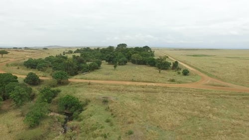 Aerial view of roads in the savanna