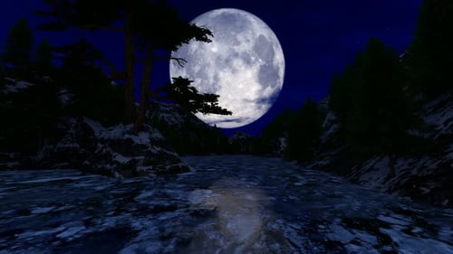 Reflections In The Frozen Lake At Night