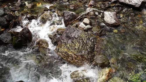 Close Up of Rapid Clean Stream Flowing on Rocks
