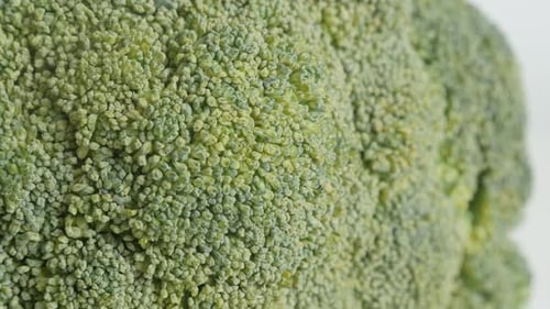 Green broccoli floret close-up 4K 2160p 30fps UltraHD tilting footage - Organic Brassica oleracea s