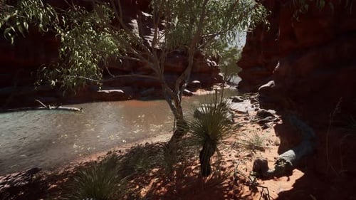 Reflection in Colorado River in Grand Canyon