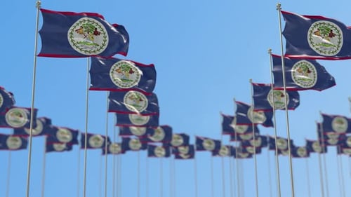 Belize Reihe der Nationalflaggen, Walk-Wurf-Animation