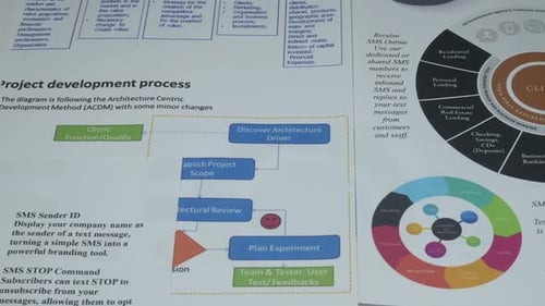 Business Diagrams and Charts Describing Project Development Process