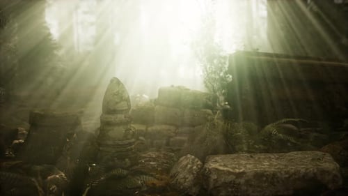 Hoary Ruins of Ancient City in Pine Forest