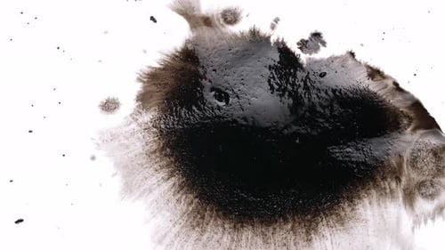 Black Ink Splash on White Background