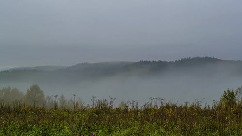 Thick Mist in the Autumn Valley