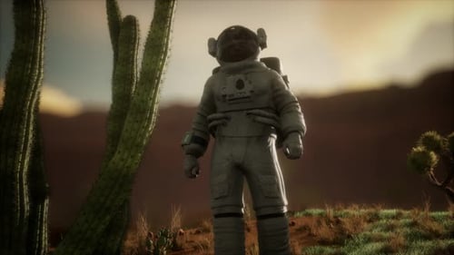 Astronauth in the High Desert of Nevada