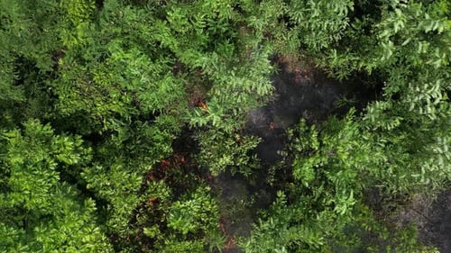 Feu de brousse vu du haut
