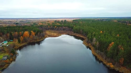 Autumn In The Forest 37