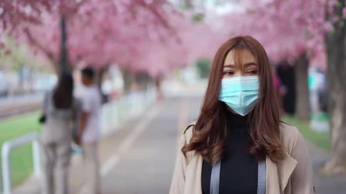 woman traveler wearing face mask and looking cherry blossoms or sakura flower blooming in the park