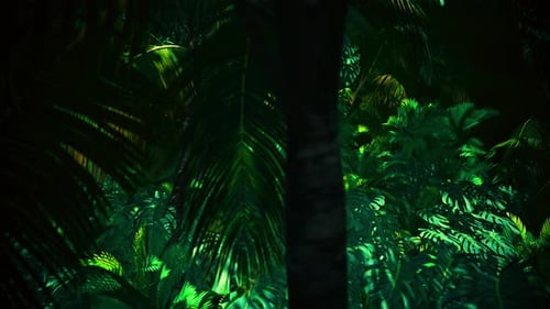 Adventure In Jungle Summer 03 4K