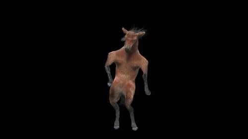30 Danse équestre HD