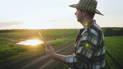 Farmer Using Tablet in Golden Rural Setting