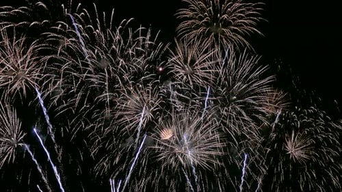 Colorful Firework display at night on sky background